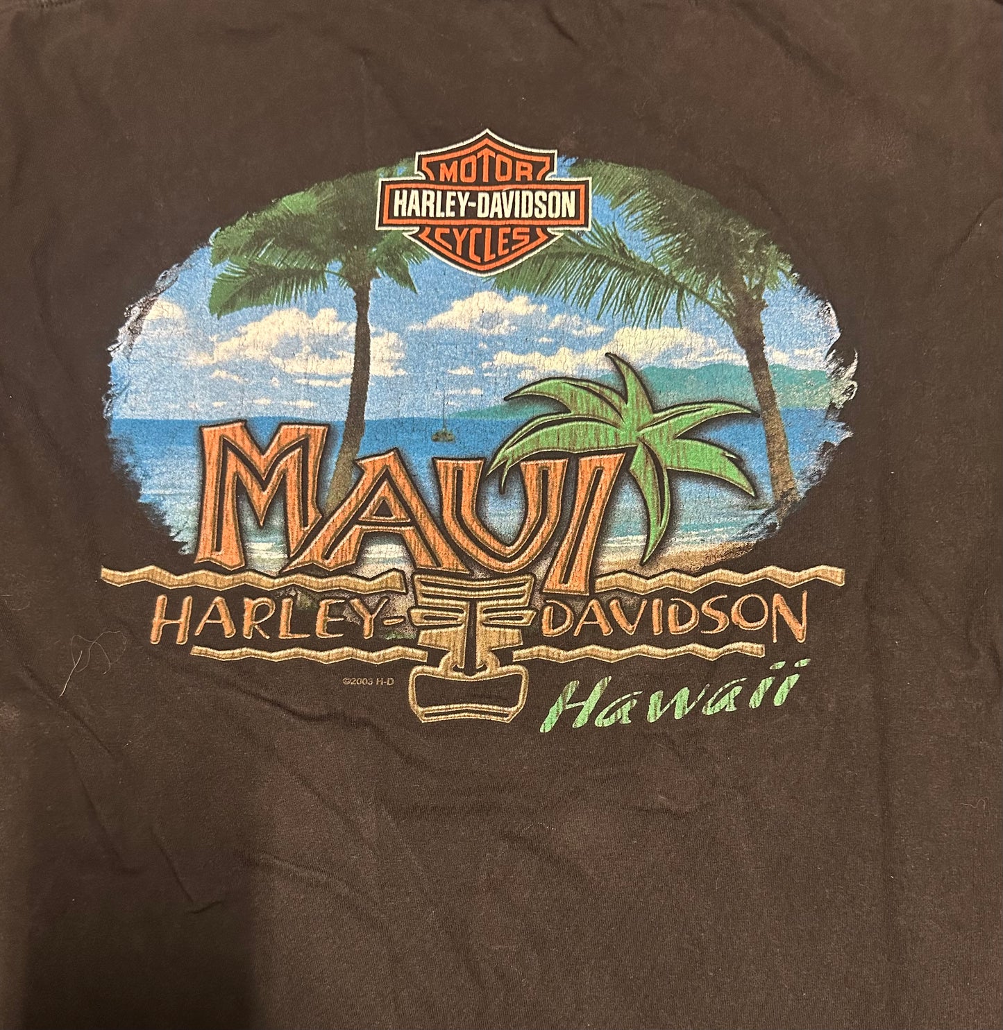 2003 Vintage Harley Davidson Graphic T-Shirt