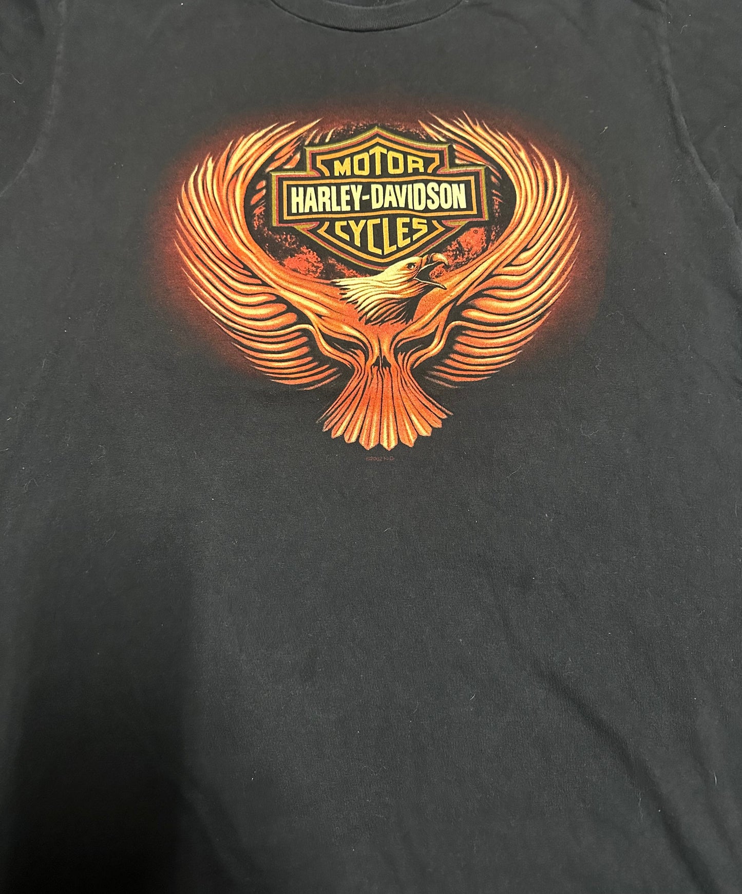 2002 Vintage Harley Davidson Graphic T-Shirt