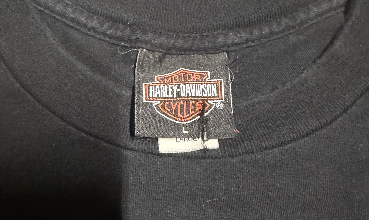 2002 Vintage Harley Davidson Graphic T-Shirt