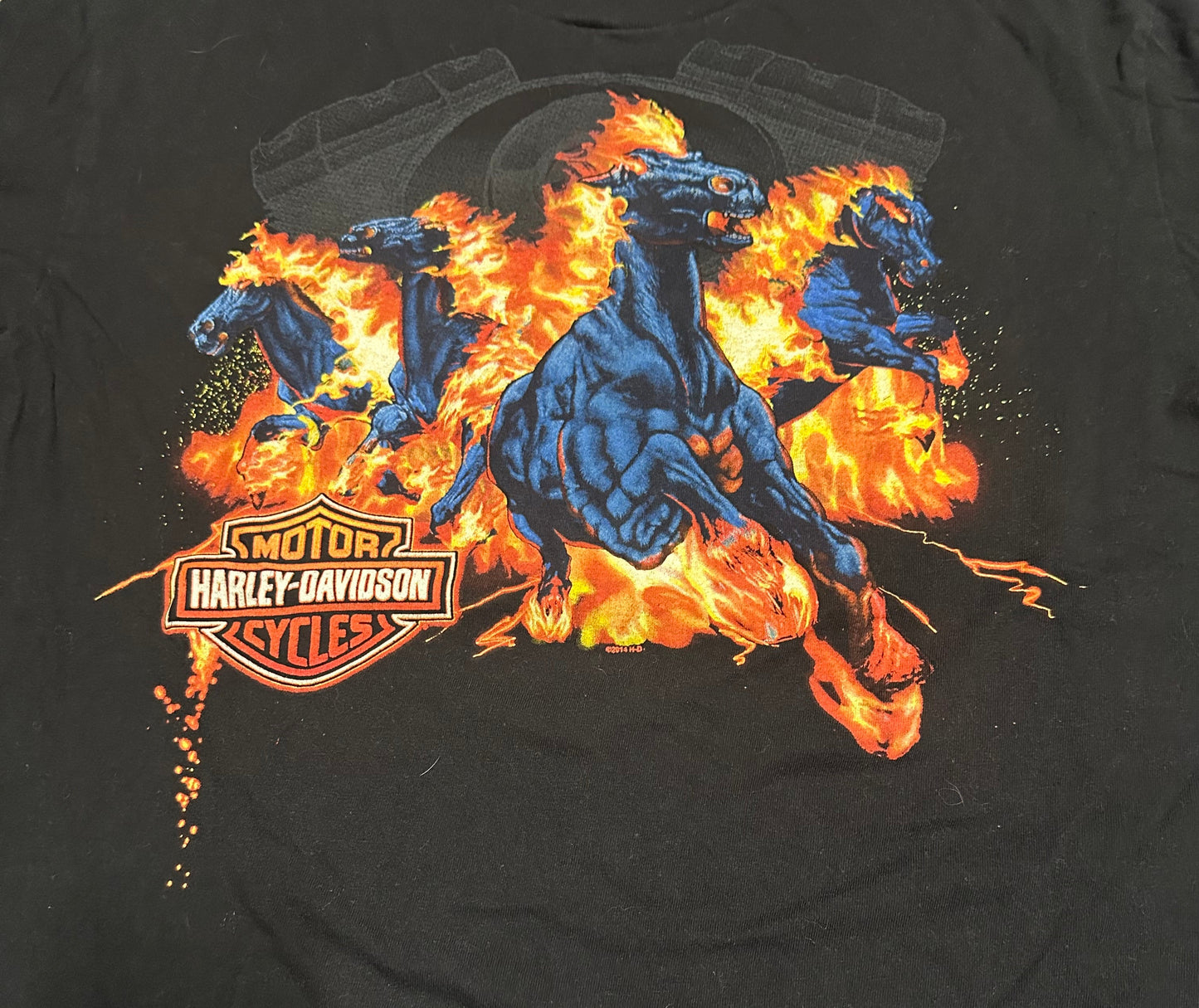 2014 Harley Davidson Graphic T-Shirt