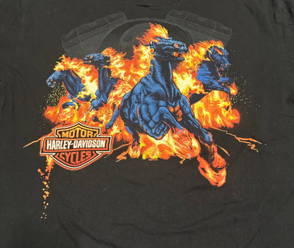 2014 Harley Davidson Graphic T-Shirt