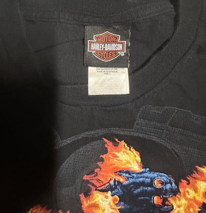 2014 Harley Davidson Graphic T-Shirt