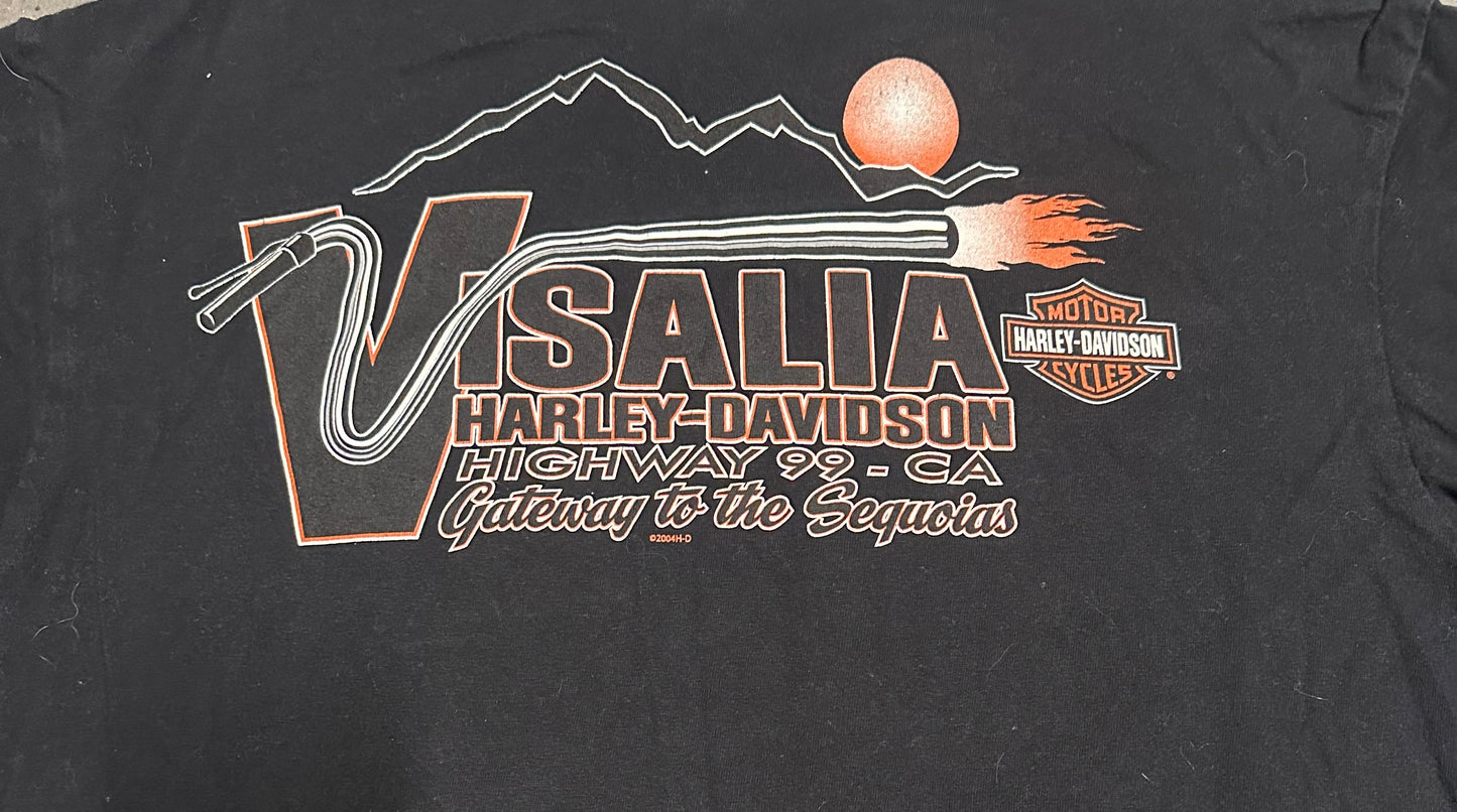 2014 Harley Davidson Graphic T-Shirt