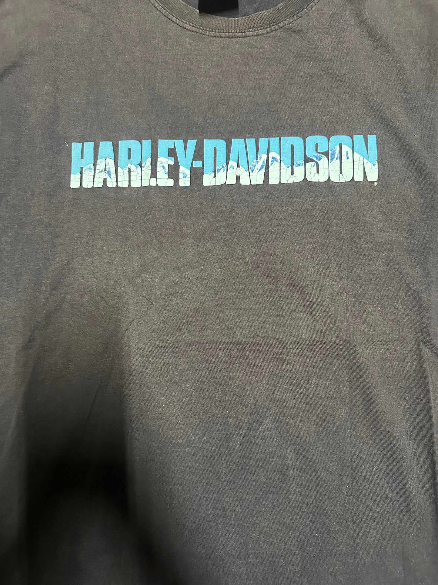 2000 Vintage Harley Davidson Graphic T-Shirt