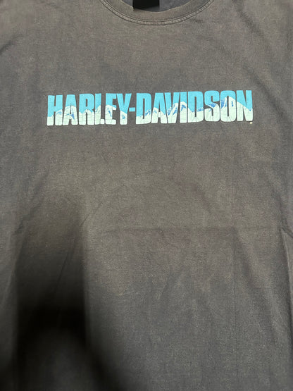 2000 Vintage Harley Davidson Graphic T-Shirt