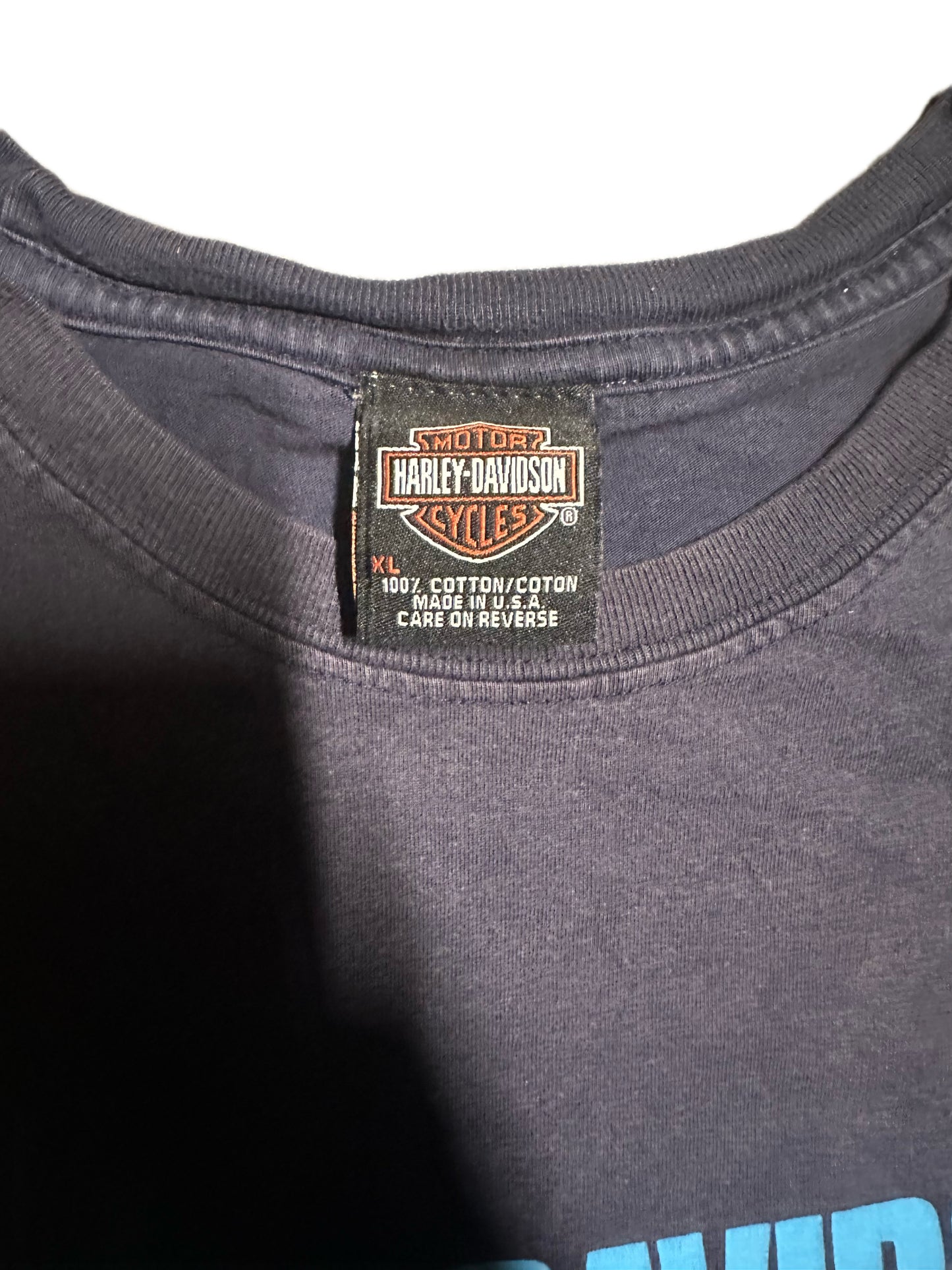 2000 Vintage Harley Davidson Graphic T-Shirt