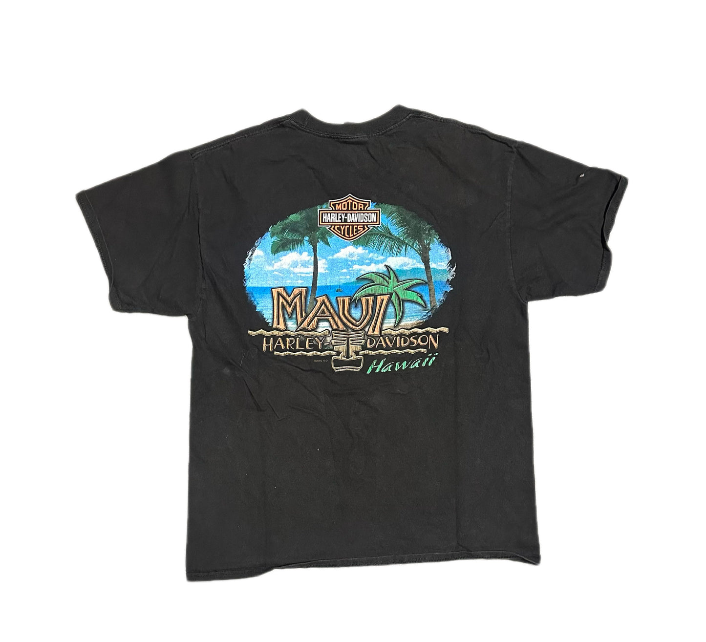 2003 Vintage Harley Davidson Graphic T-Shirt