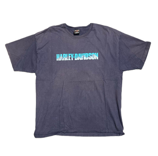 2000 Vintage Harley Davidson Graphic T-Shirt