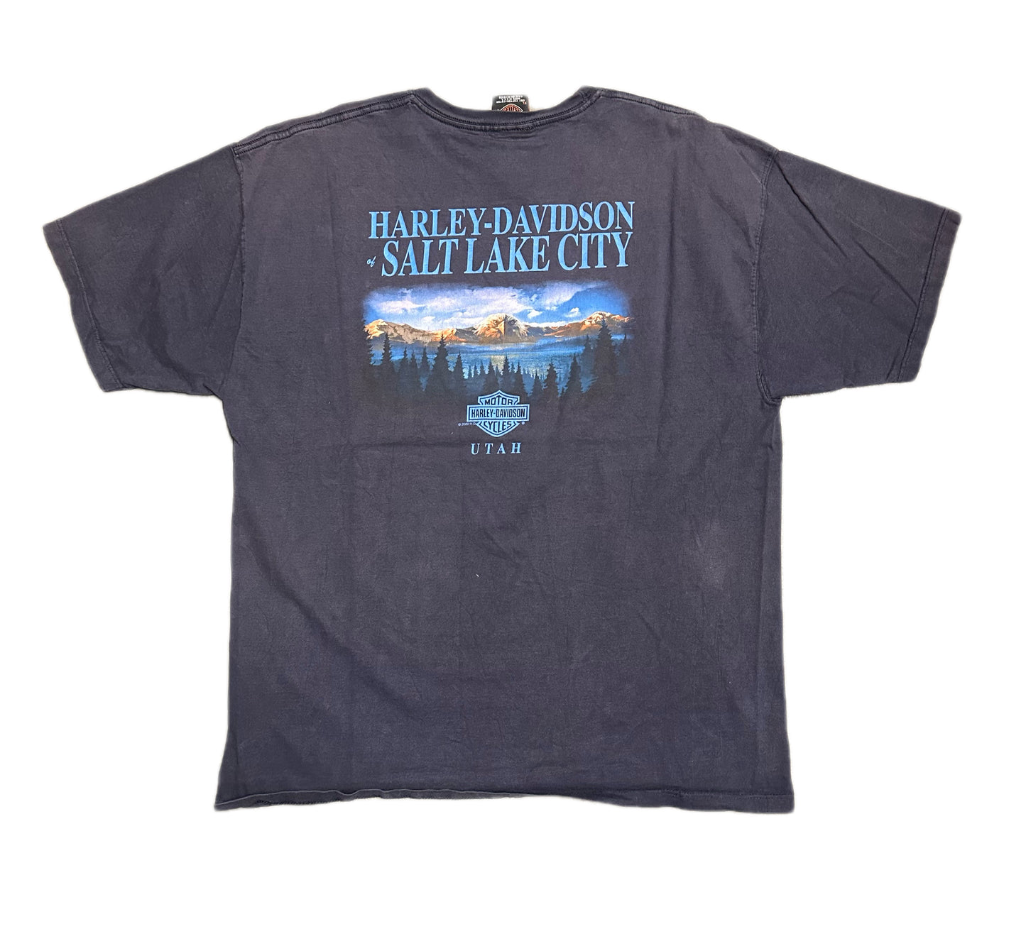 2000 Vintage Harley Davidson Graphic T-Shirt