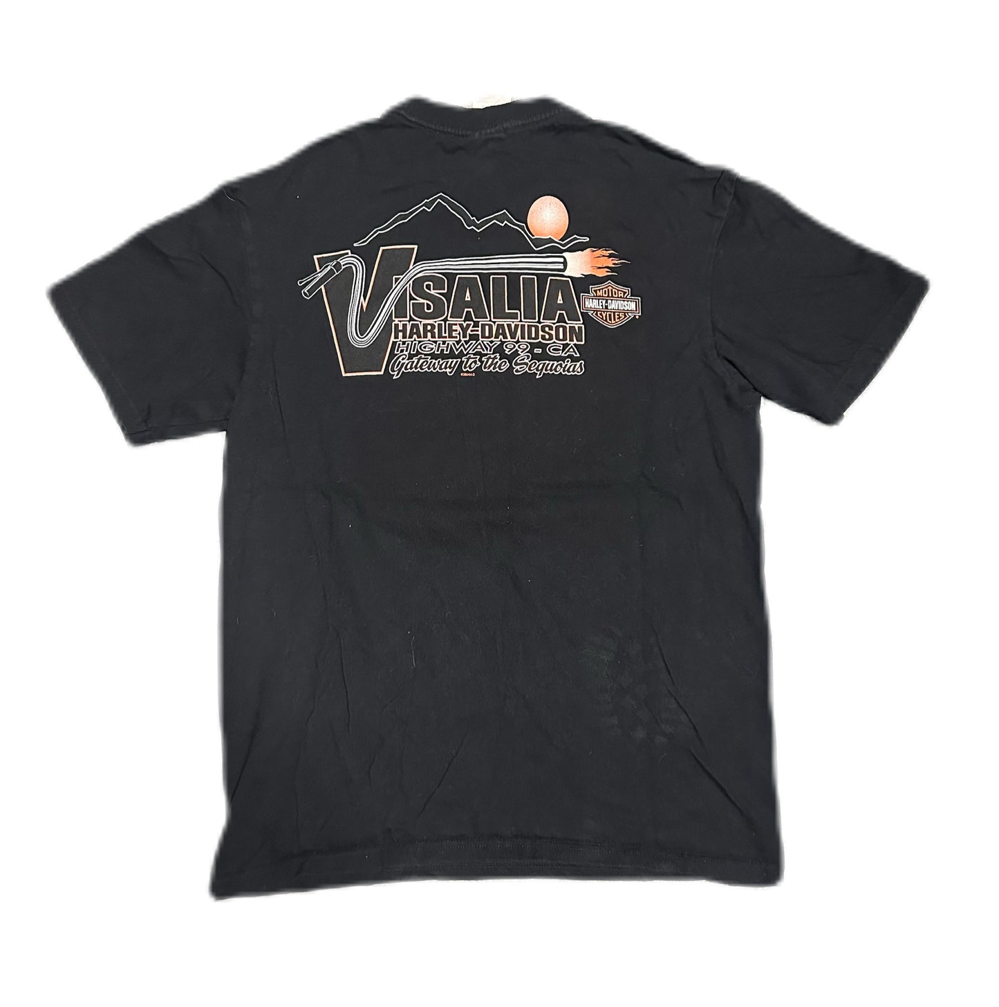 2014 Harley Davidson Graphic T-Shirt