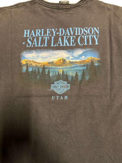 2000 Vintage Harley Davidson Graphic T-Shirt